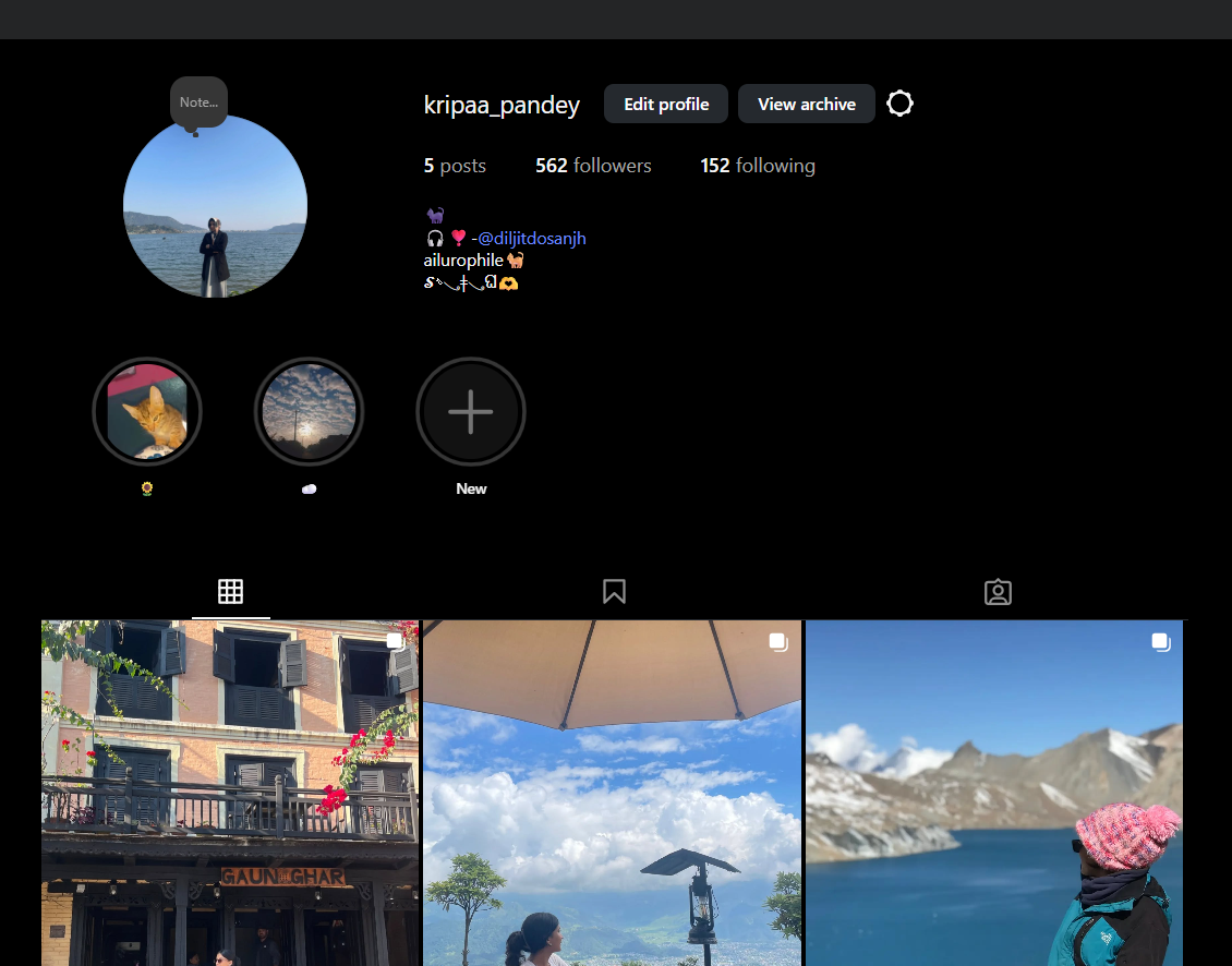Instagram Profile Screenshot